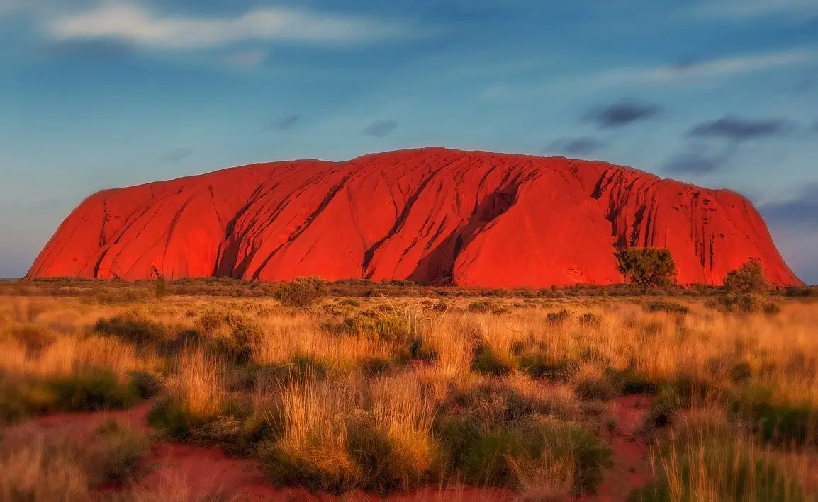 Uluru glowing red at sunset with desert vegetation in foreground