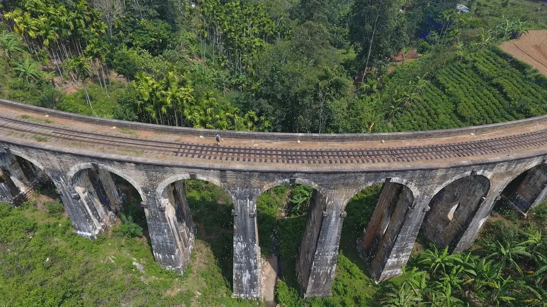 Train crossing the Nine Arch Bridge amid lush green valley
